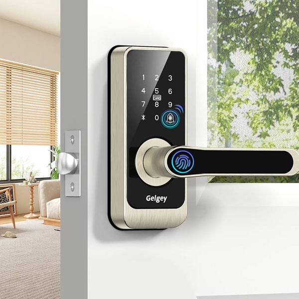 Electronic Lock and Handle Lock in Delhi NCR